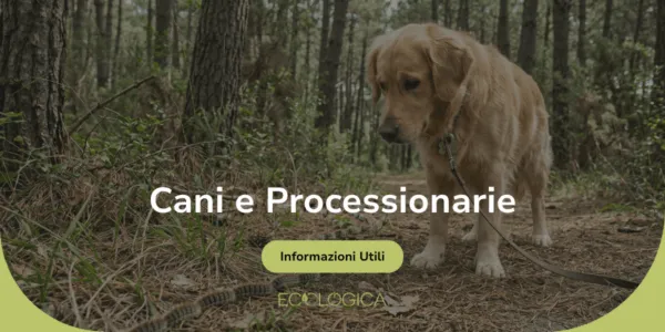 cani e processionarie