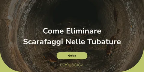 come evitare che gli scarafaggi escano dalle tubature