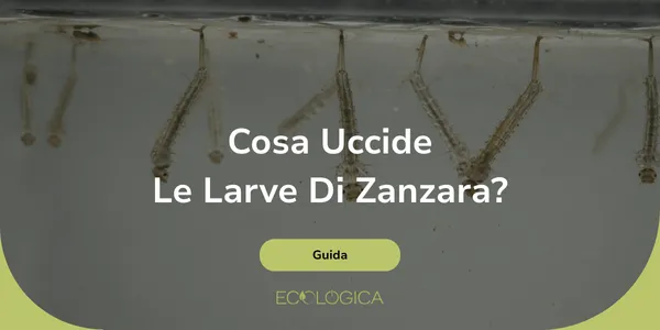 cosa uccide le larve di zanzara