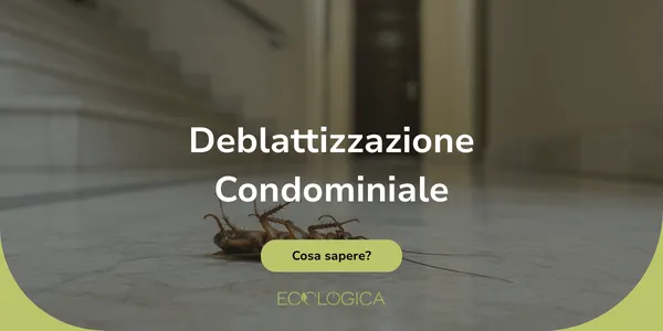 deblattizzazione in condominio