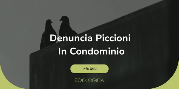 guida denuncia piccioni in condominio
