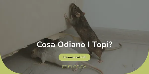 guida su cosa odiano i topi