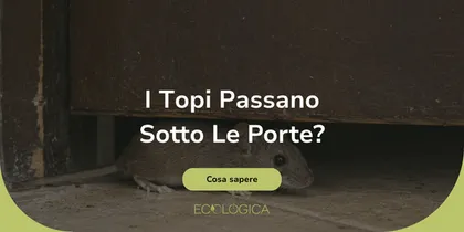 i topi riescono a passare sotto le porte