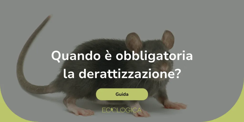 quando è obbligatoria la derattizzazione