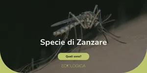 quanti tipi di zanzara ci sono