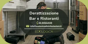 servizio derattizzazione per bar e ristoranti