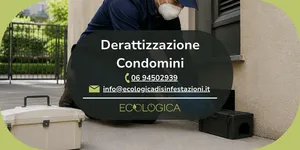 servizio derattizzazione per condomini