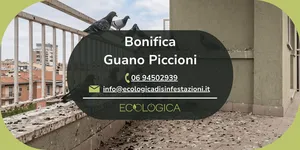 servizio di bonifica guano piccioni