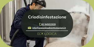 servizio di criodisinfestazione