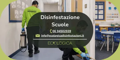 servizio di disinfestazione scuole
