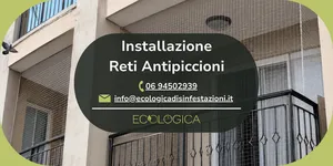 servizio di installazione reti antipiccioni