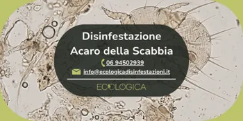 servizio disinfestazione acaro della scabbia