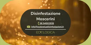 servizio disinfestazione di moscerini