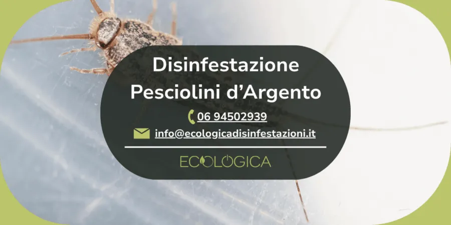 servizio disinfestazione pesciolini d argento