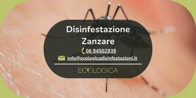 servizio disinfestazione zanzare