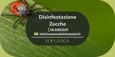servizio disinfestazione zecche